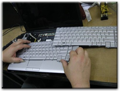 Ремонт клавиатуры на ноутбуке Toshiba в Ижевске